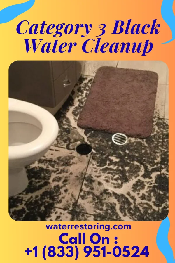 Category 3 Black Water Cleanup in Custer City, OK