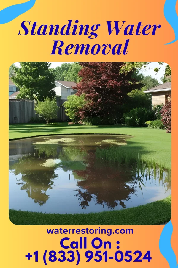 Standing Water Removal in Custer City, OK